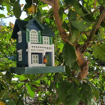 Casa Vacanze Darena Tortoreto Zewnętrze zdjęcie