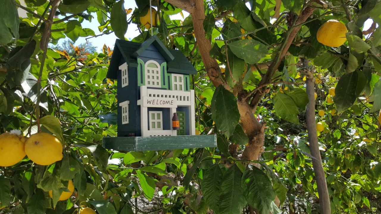 Casa Vacanze Darena Tortoreto Zewnętrze zdjęcie
